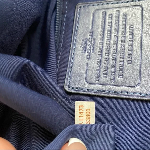 Coach XL Josie Blue Glass Python-Print Leather Tote - Picture 12 of 15